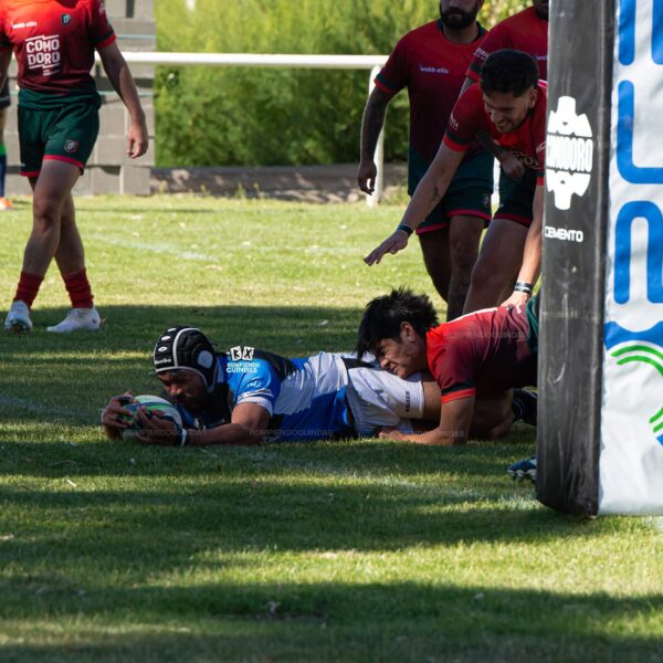 Torneo Preparación 2025: ¡Todo listo para el arranque del rugby en la Unión Austral!
