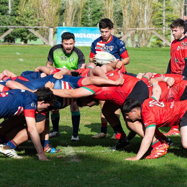 Resultados de la sexta fecha del Torneo Austral