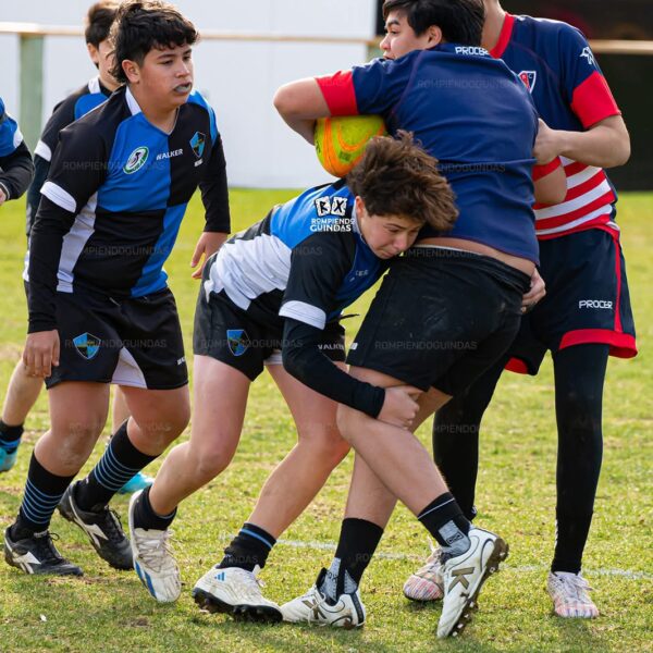 Calafate RC organiza una jornada solidaria por el Día del Niño